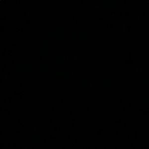 Meet your Posher, Jaden